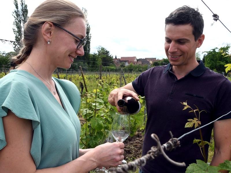 Domaine ROSFELDER