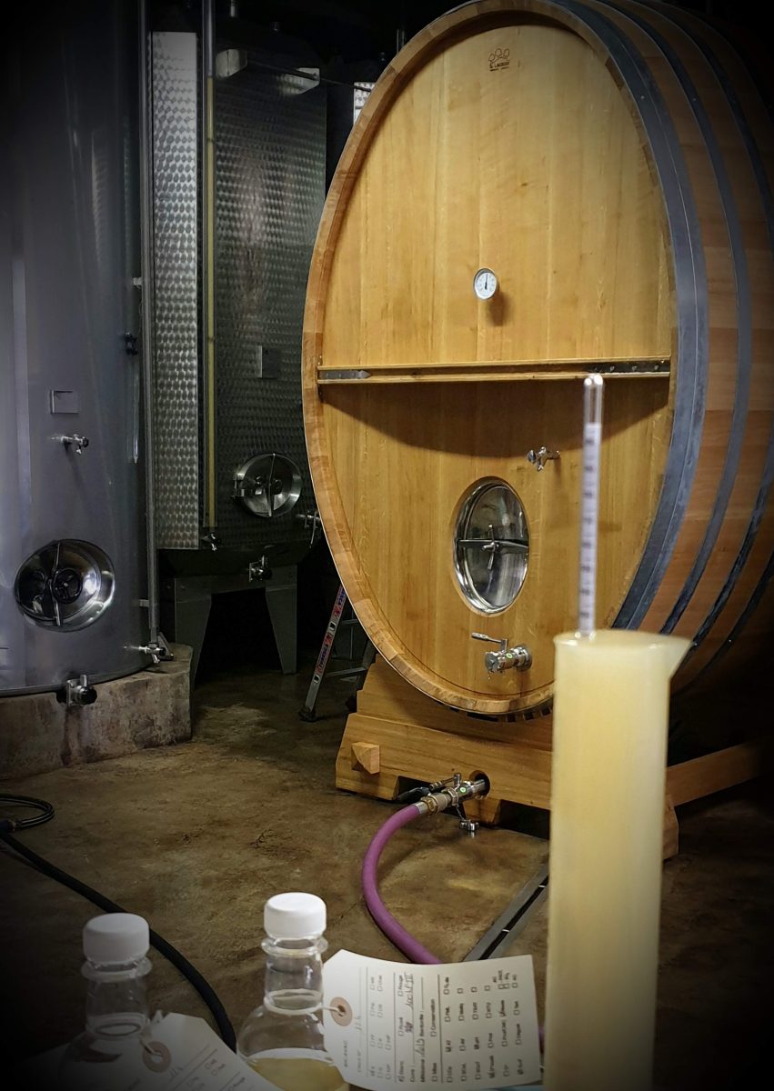 Domaine Pierre Martin