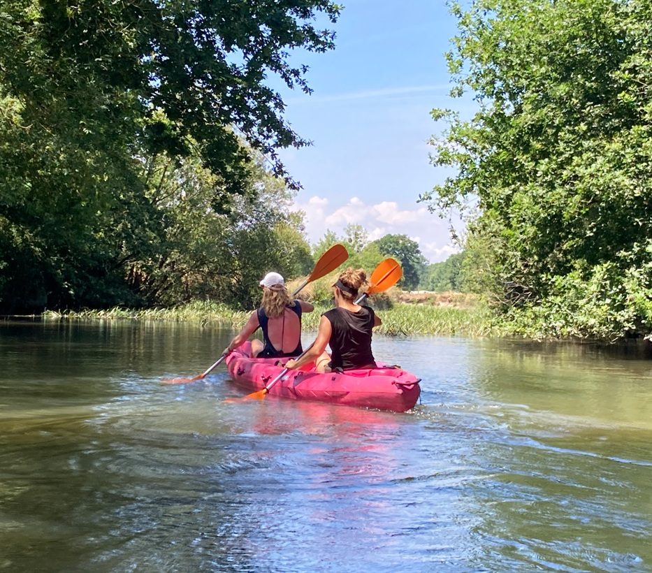 L'ILOT sur Sèvre - Canoë, paddle