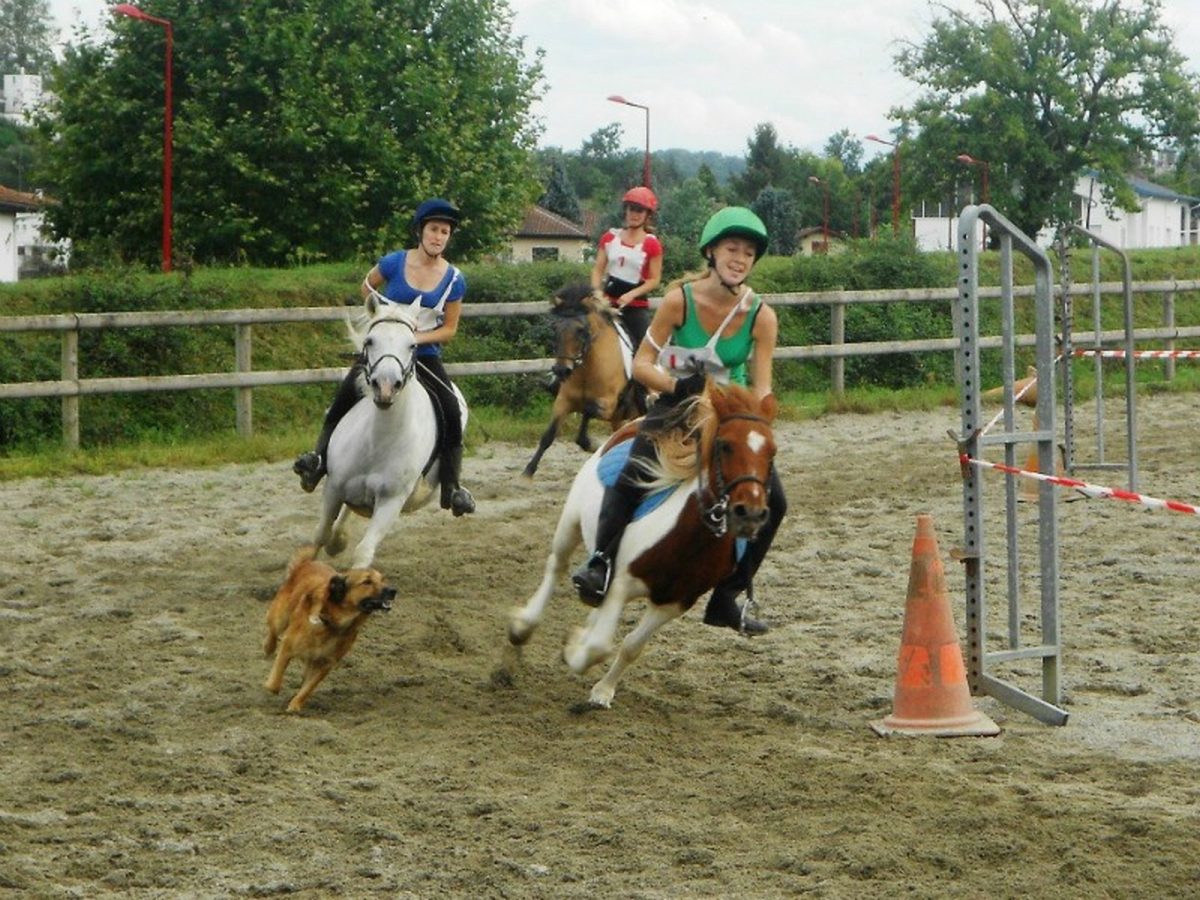 Centre Équestre-Poney club
