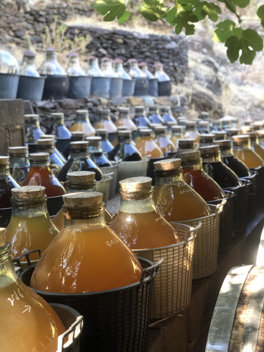 VISITE-DEGUSTATION A LA VINAIGRERIE LA GUINELLE