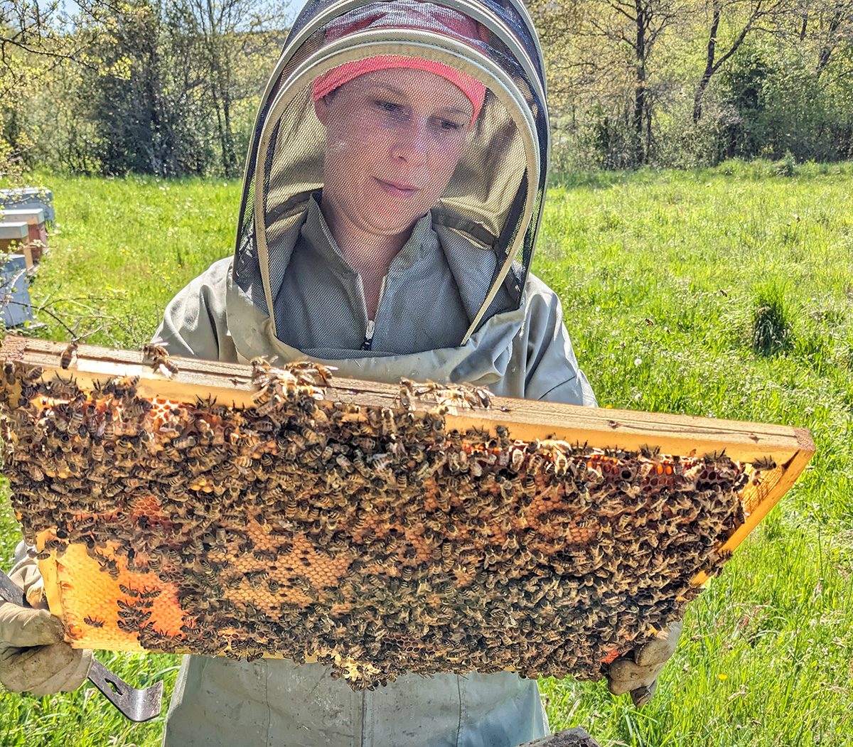 La mélodie des abeilles