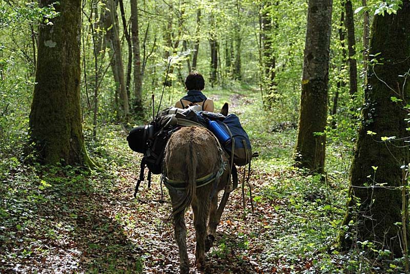 Randonnée avec un âne - Les Chemins de Traverse