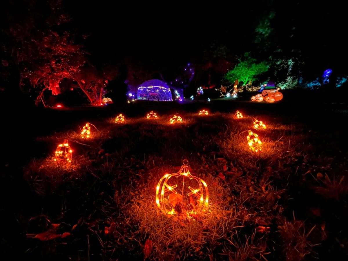 Nuits des Lumiéres