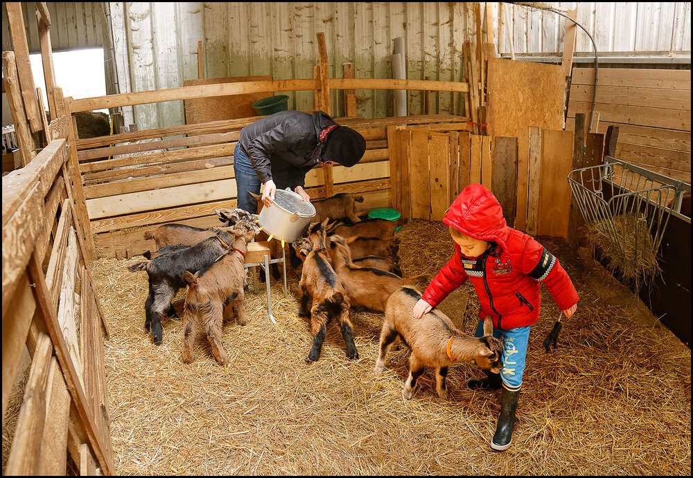Ferme des Places