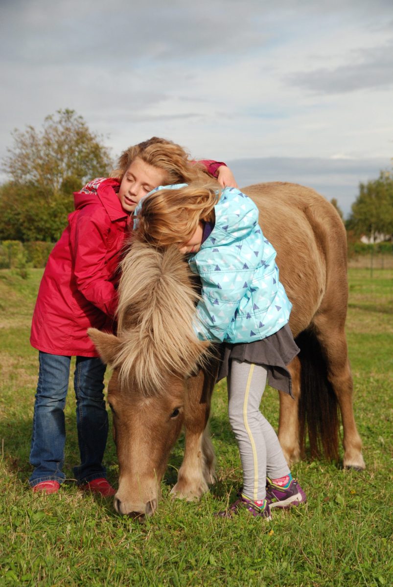 Vacances de la Toussaint - Stages enfants Touraine Cheval