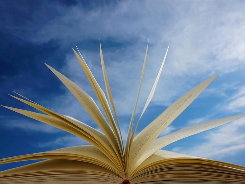 Conférence sur « la bibliothérapie »