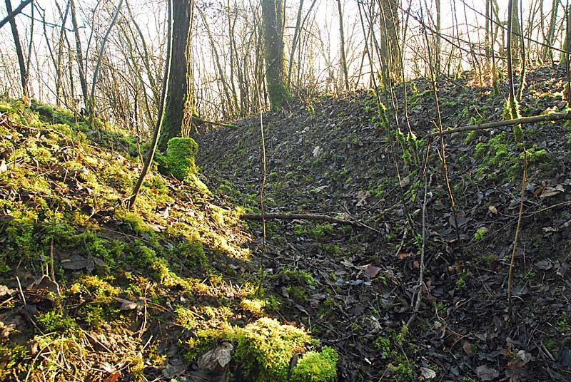 Fort des Fourches