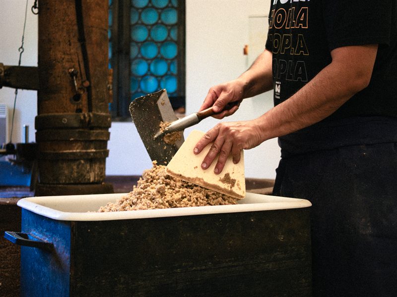 Visite de l'huilerie artisanale