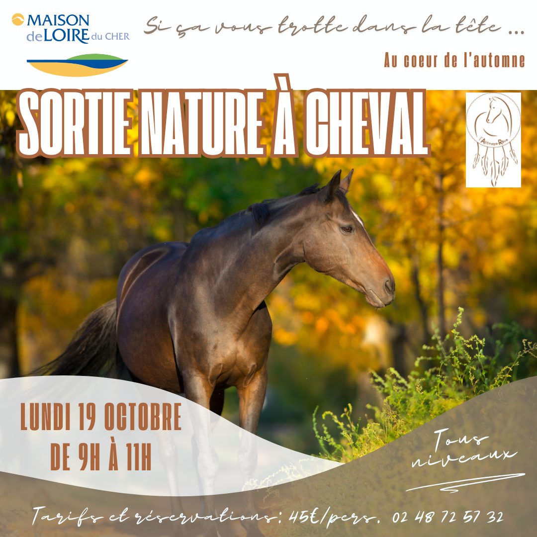 Sortie nature à cheval