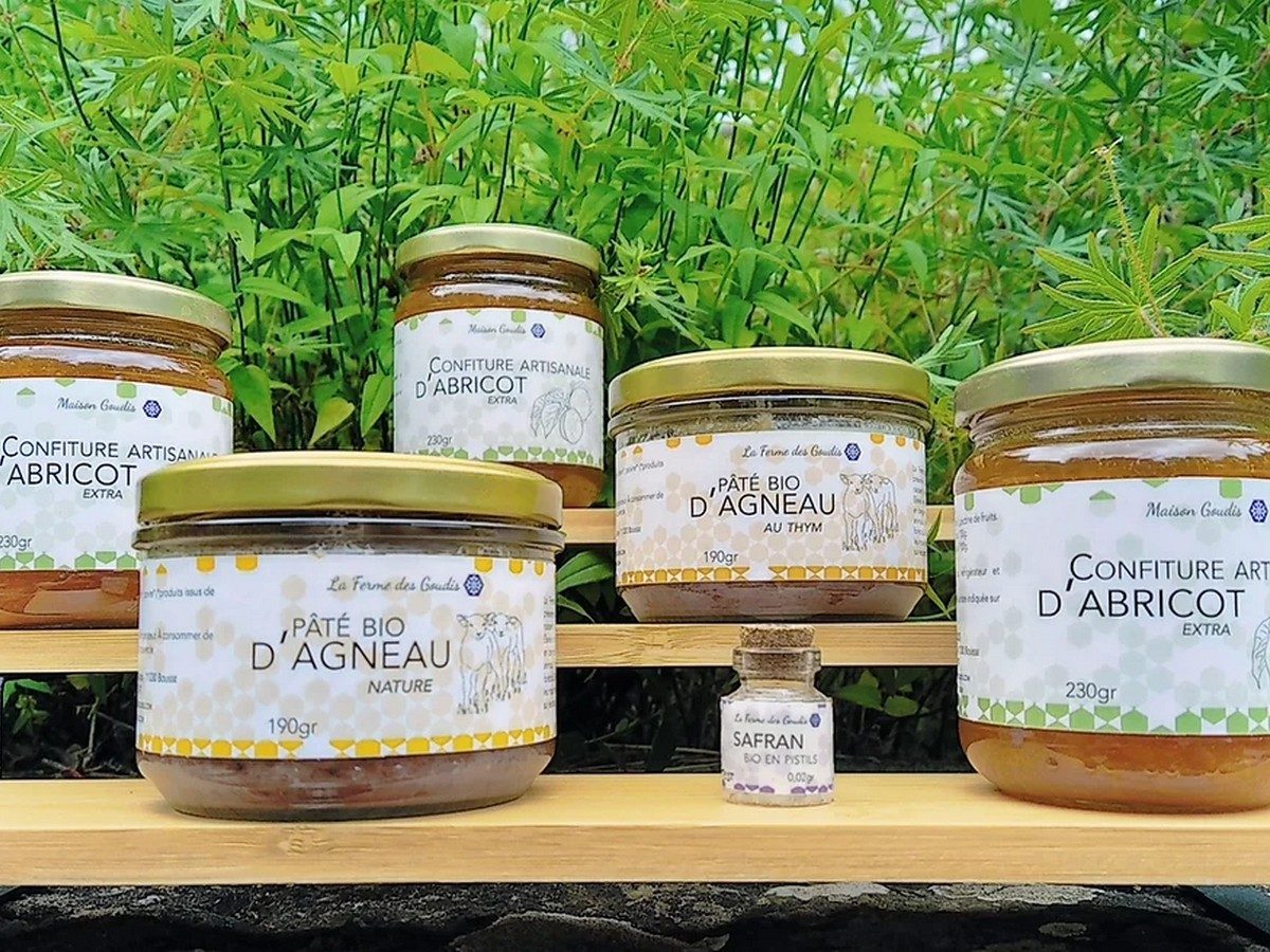 DOMAINE DES GOUDIS