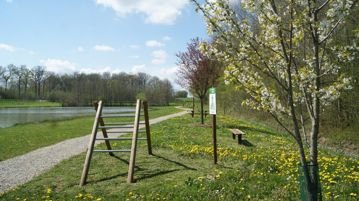Etang de la Galette
