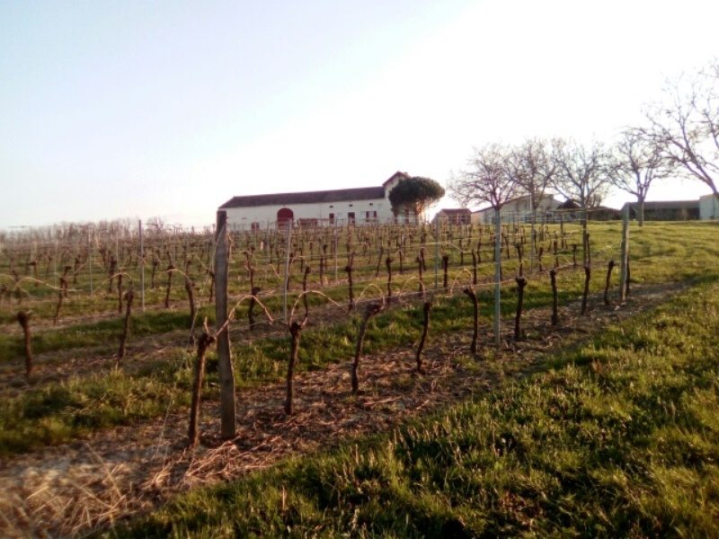 Clos Jacanicol