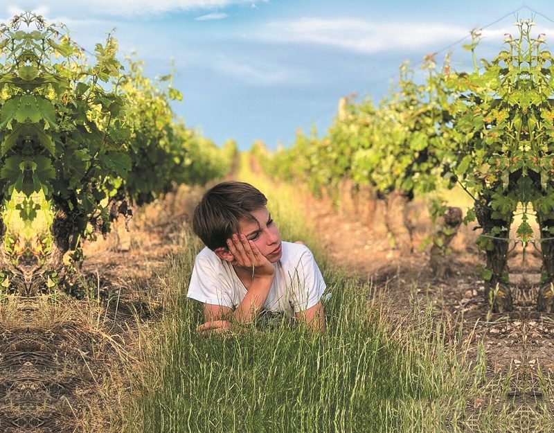 Domaine de la renne