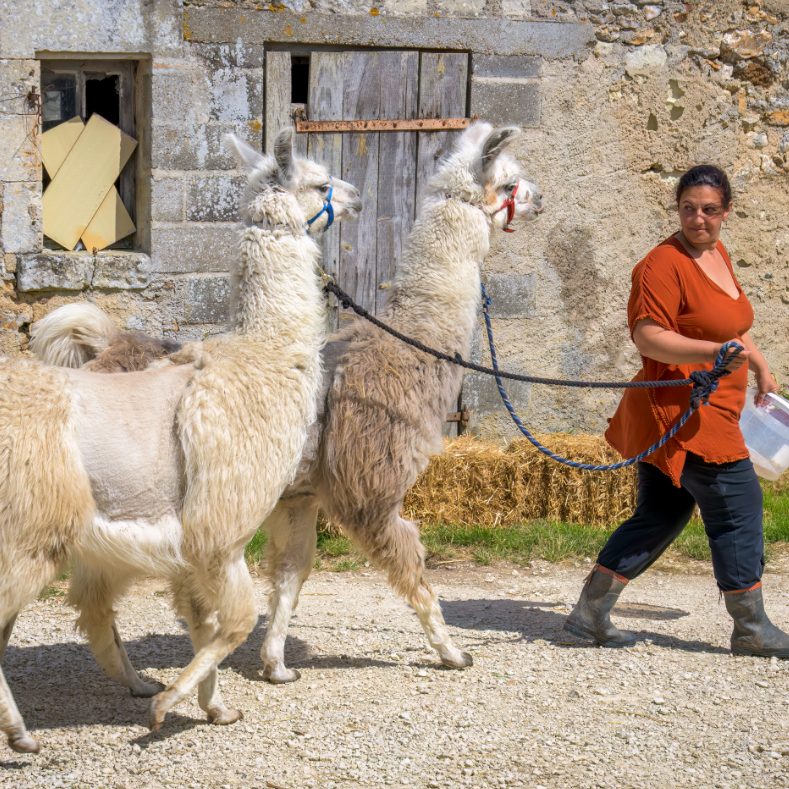 La ferme de Villebure