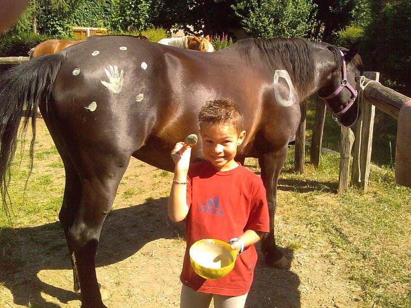 Ferme Equestre de Caffoulens