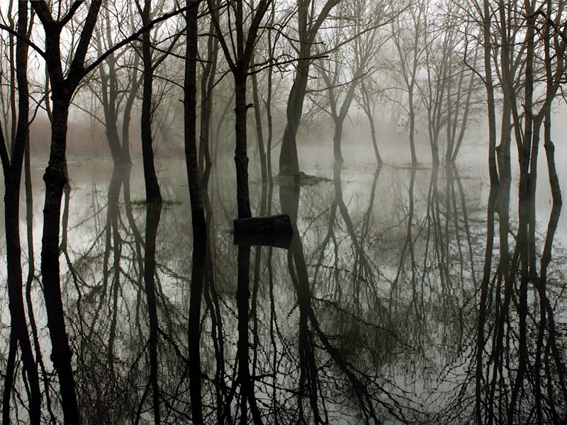 Inauguration "sauvage" : art et nature en dialogue - La Moselle Sauvage en Fête !