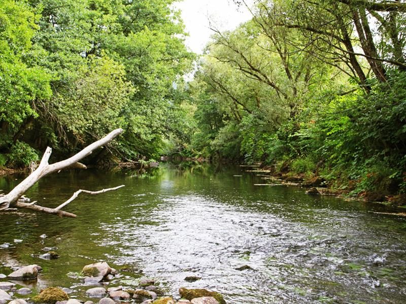 Étangs et rivières Rochesson