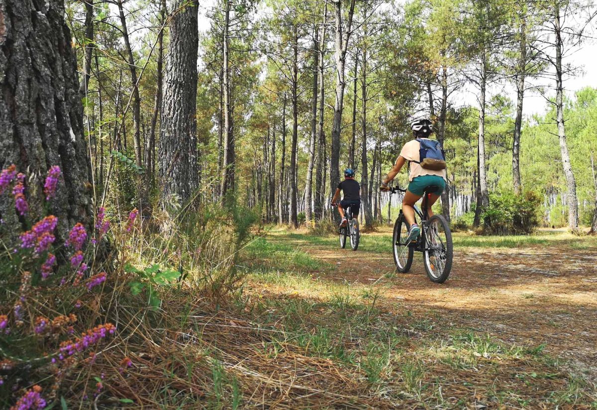 Location de VTT - Base de loisirs de Testarouman