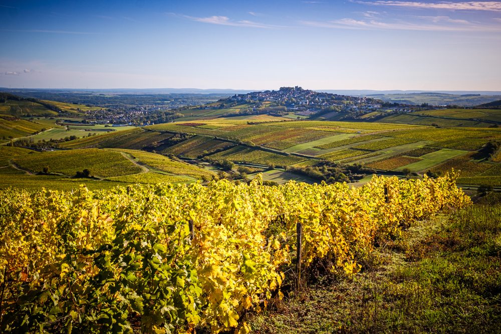 Domaine Serge Laporte