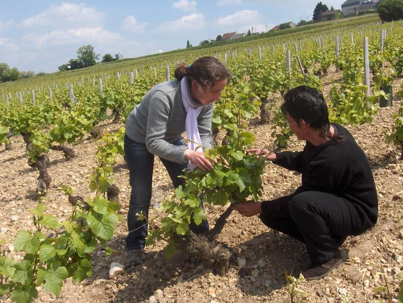 Domaine Bonnard