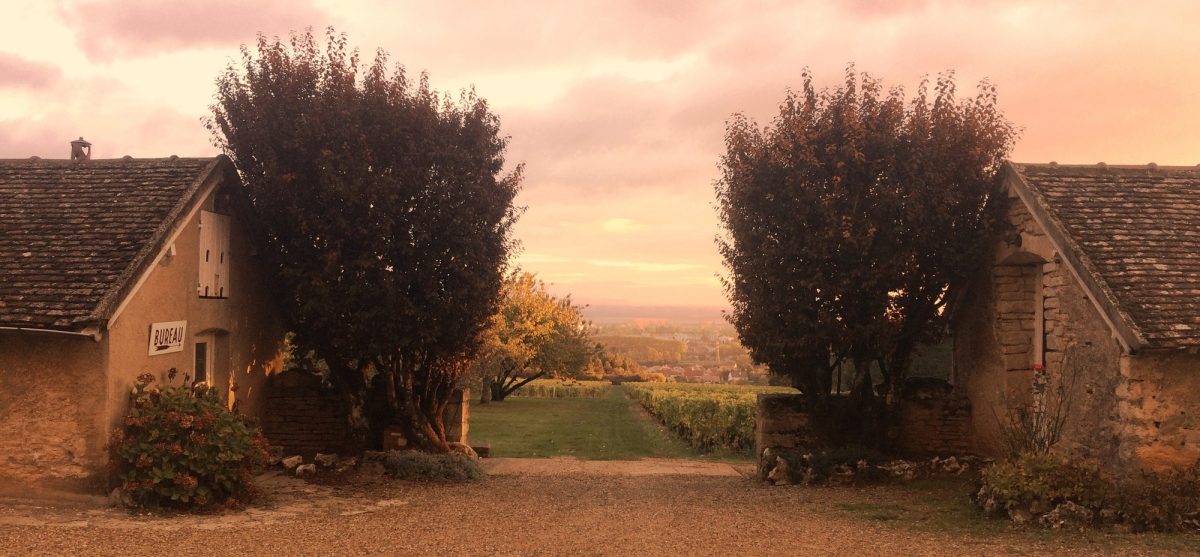 Domaine de la Folie