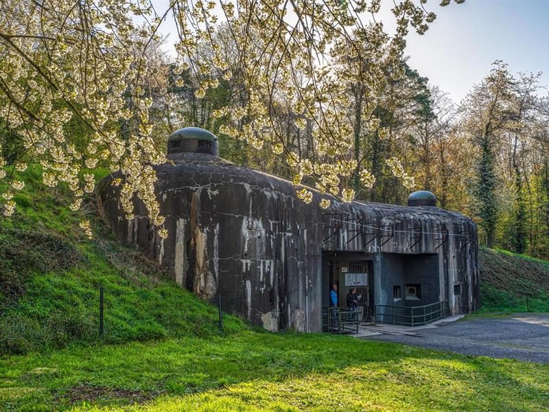 Fort de Schoenenbourg - Ligne Maginot