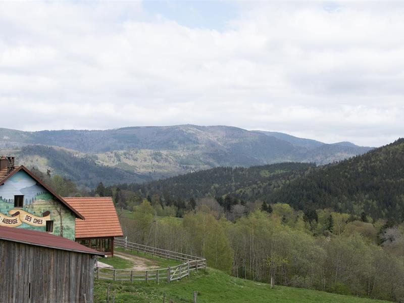 Ferme-Auberge Les Cimes