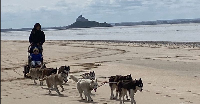 Association Les Huskys de la Baie