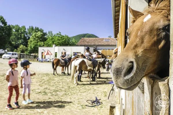 Poney Club Larzac et Vallées Elevage du Durzon