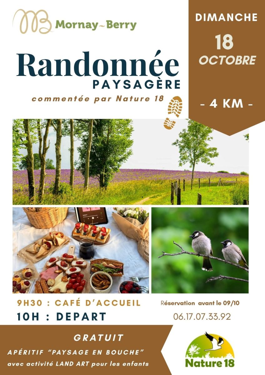 Randonnée paysagère à Mornay-Berry