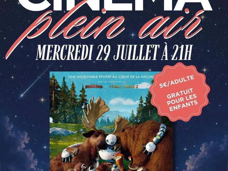 Ciné plein air d'été