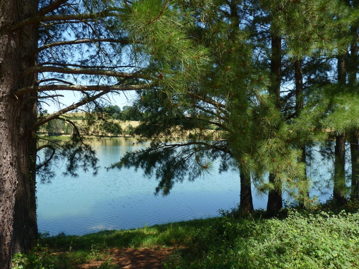 Lac