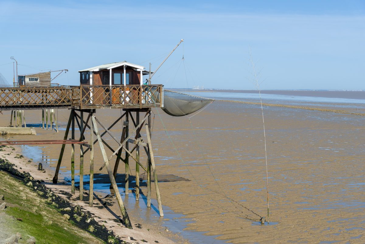 Carrelets de Pauillac