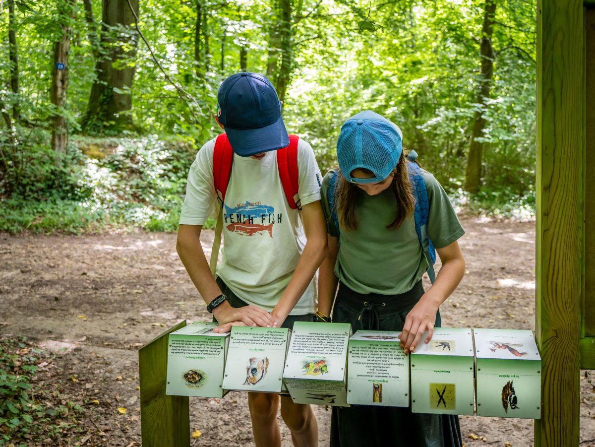 Parcours pédagogique La Petite Suisse d'Elincourt