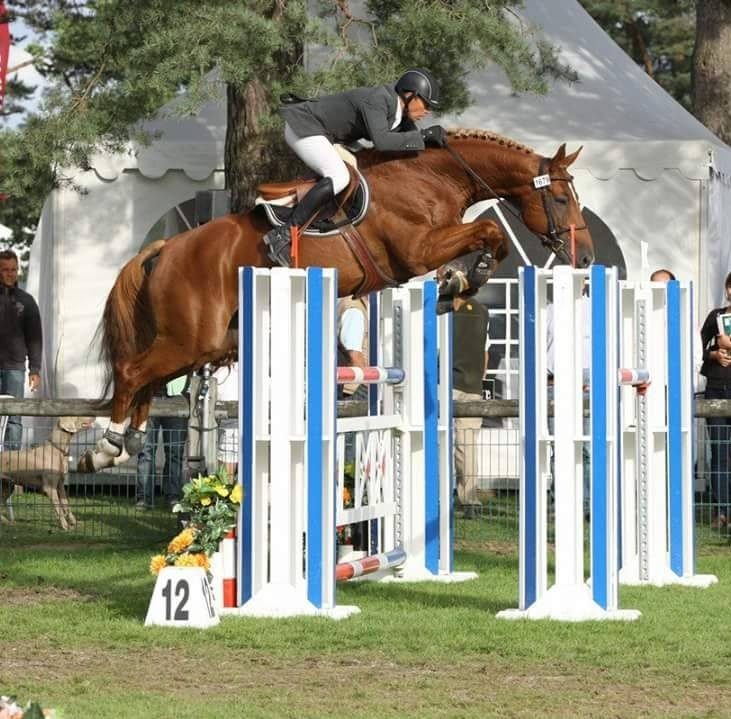 Cercle hippique d'Antonne