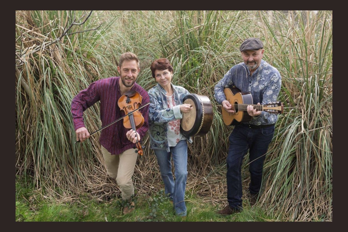 Concert | Skellig Irish Trio