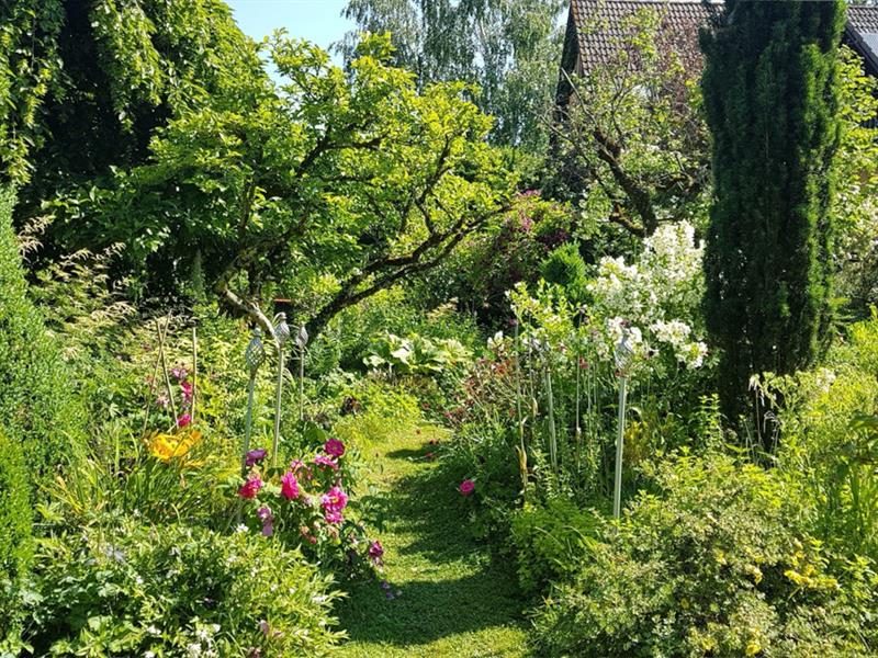 Le jardin de Brigitte