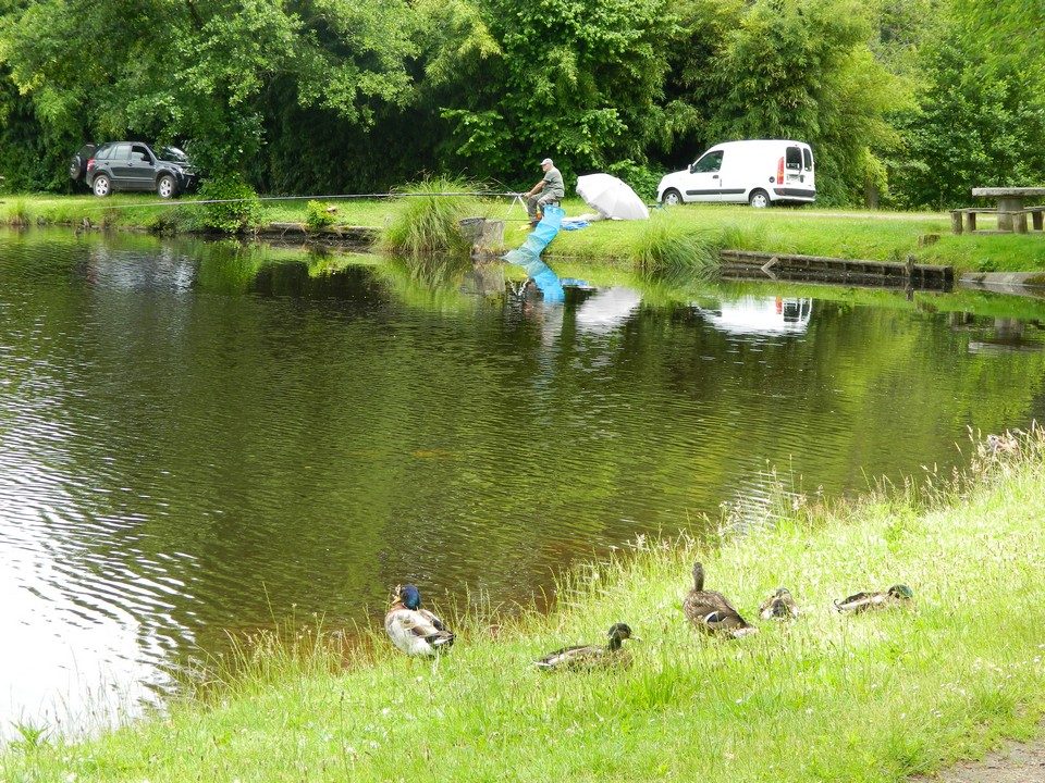 Etang de pêche de Sainte Foy