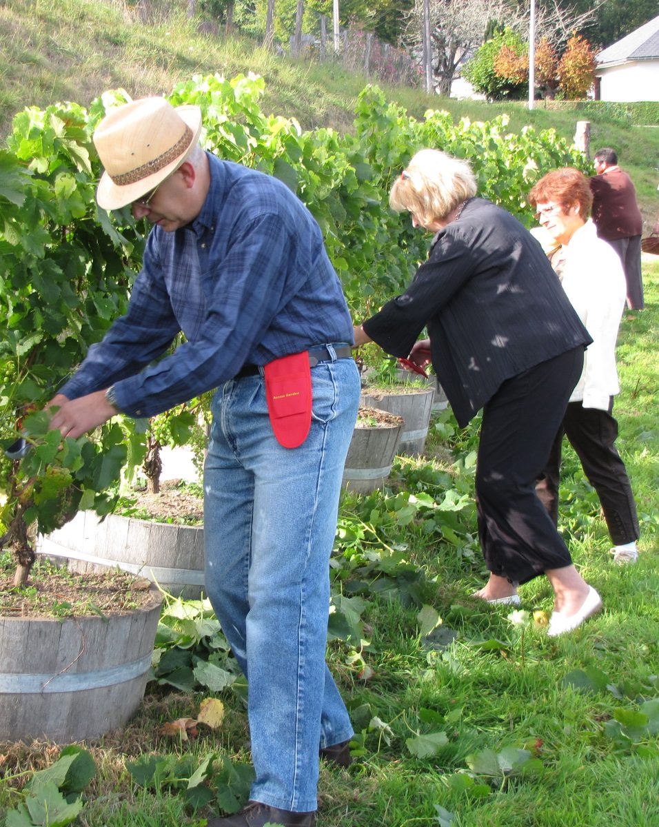 F. Vignoble des moines Larose