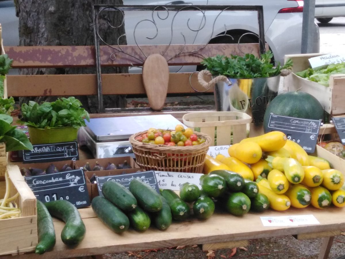 Potager l'Arbre  à Carottes