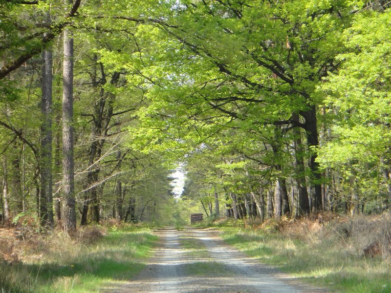 Val de Loire écotourisme