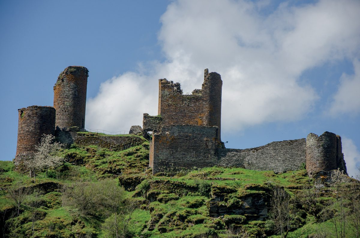 CHATEAU DU TOURNEL
