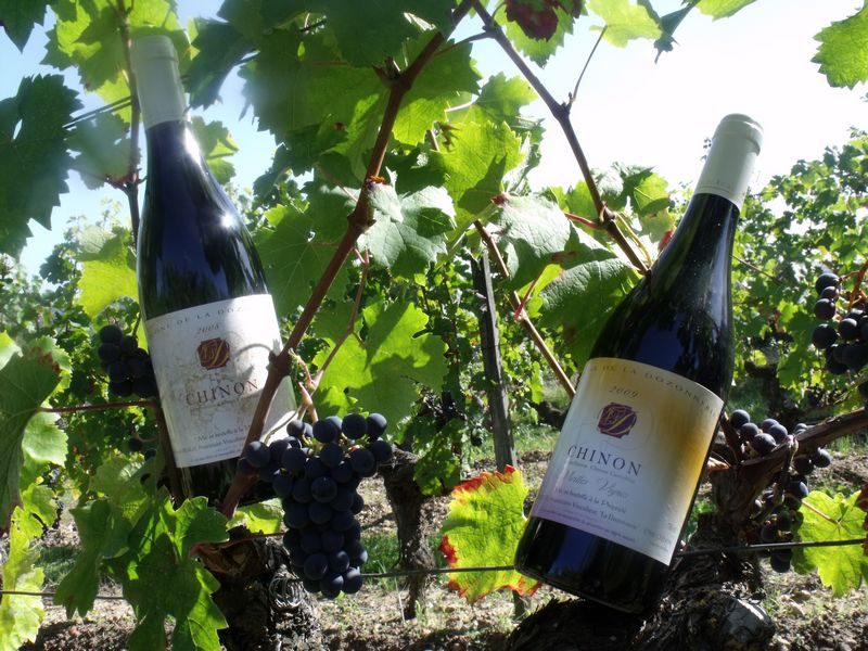 Domaine de la Dozonnerie