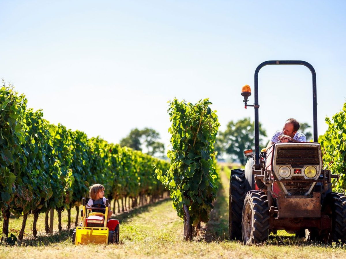 Boutique des Vignerons de Tutiac de Val-de-Livenne