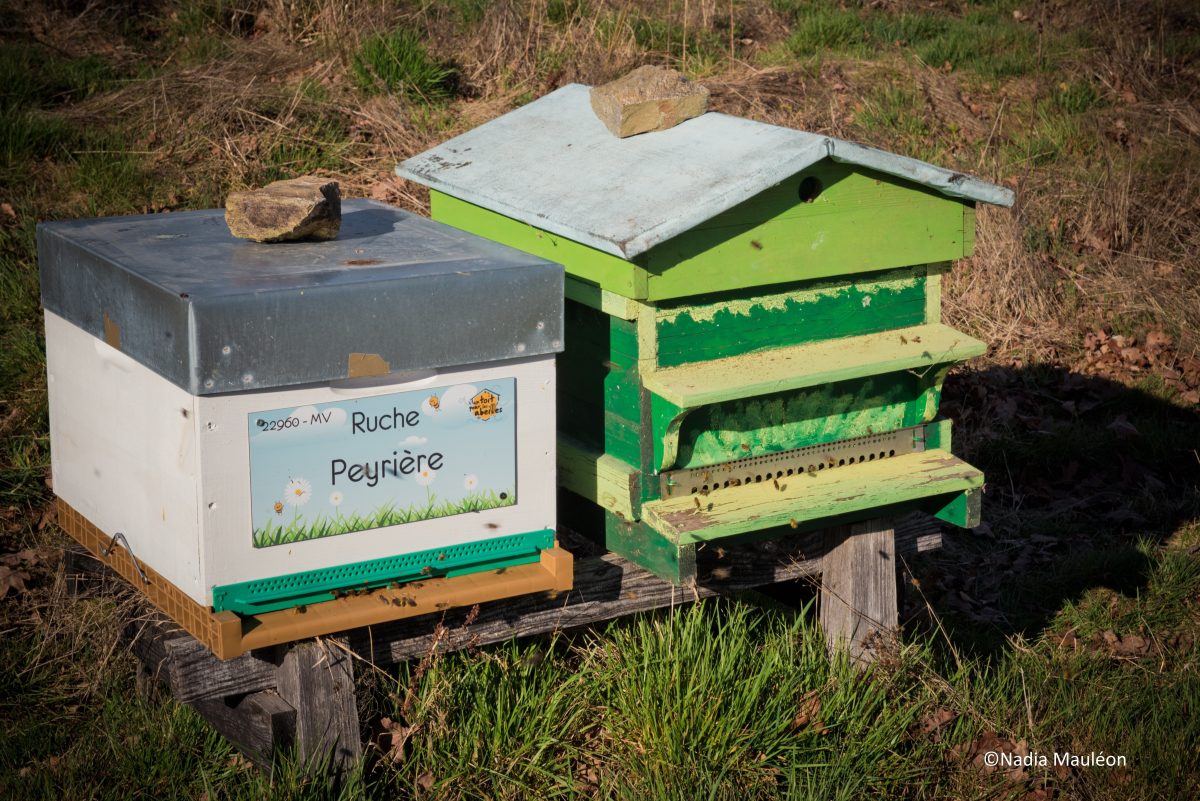 Rucher de Pierrefitte