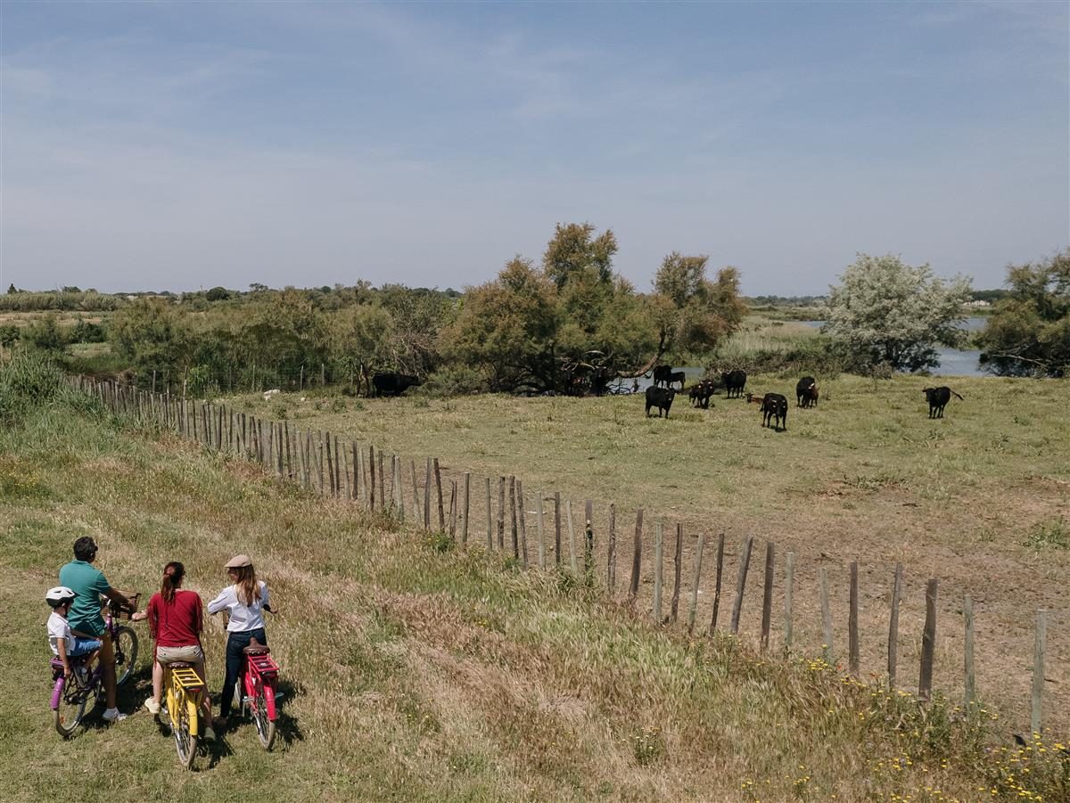 Camargue autrement