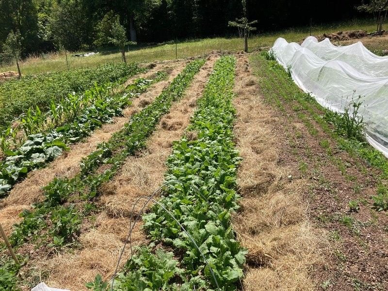 Les Jardins du Moulin