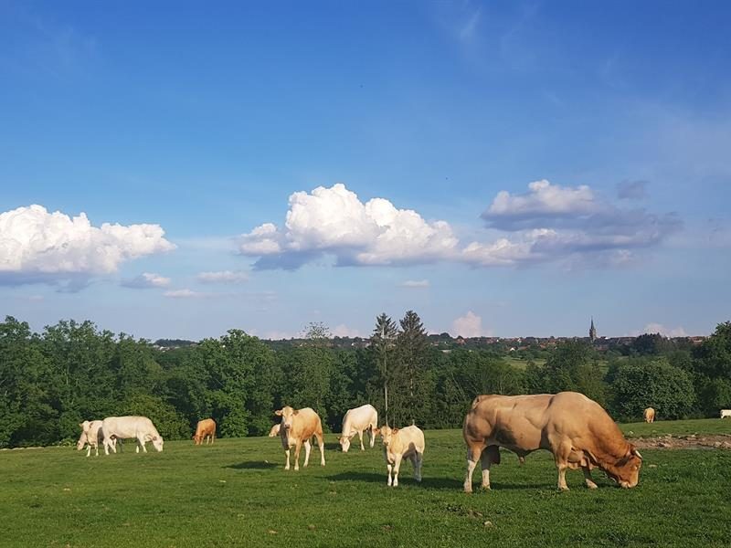 Ferme lisenburg
