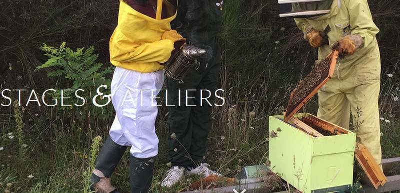 Production de miel - Les Belles Demois'ailes